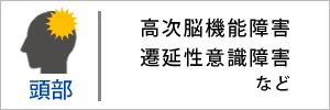 頭部の怪我の解決実績