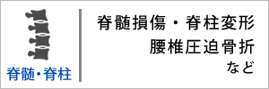脊椎・脊柱の怪我の解決実績