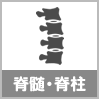 脊椎・脊柱の怪我の解決実績